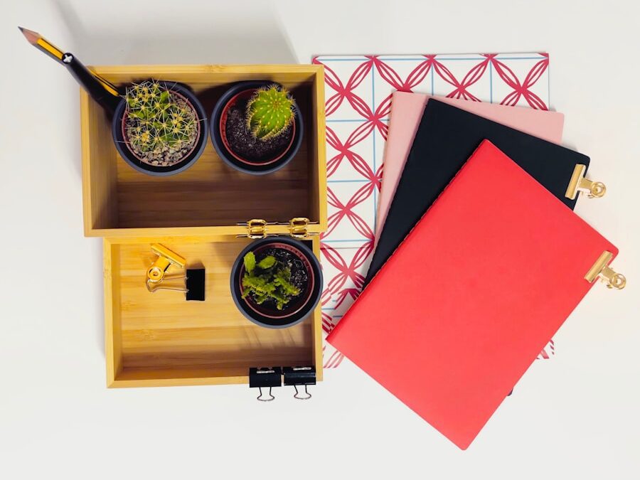 Regalos circulares: la tendencia eco-friendly para bodas y eventos