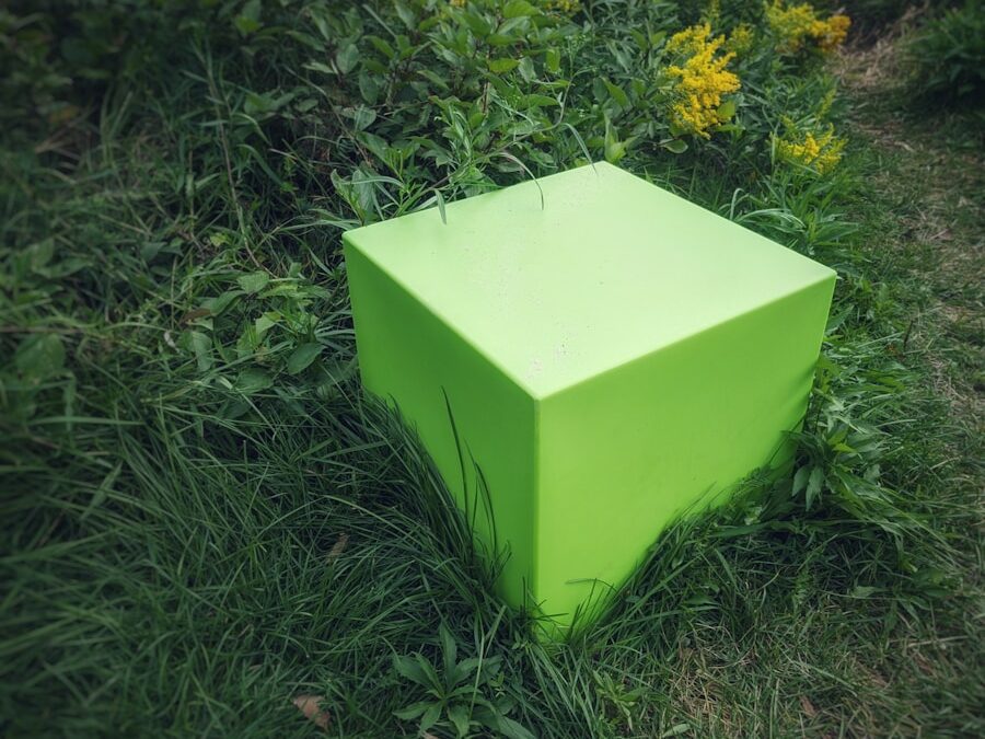 Sorprende con regalos sostenibles: las mejores opciones en EAU