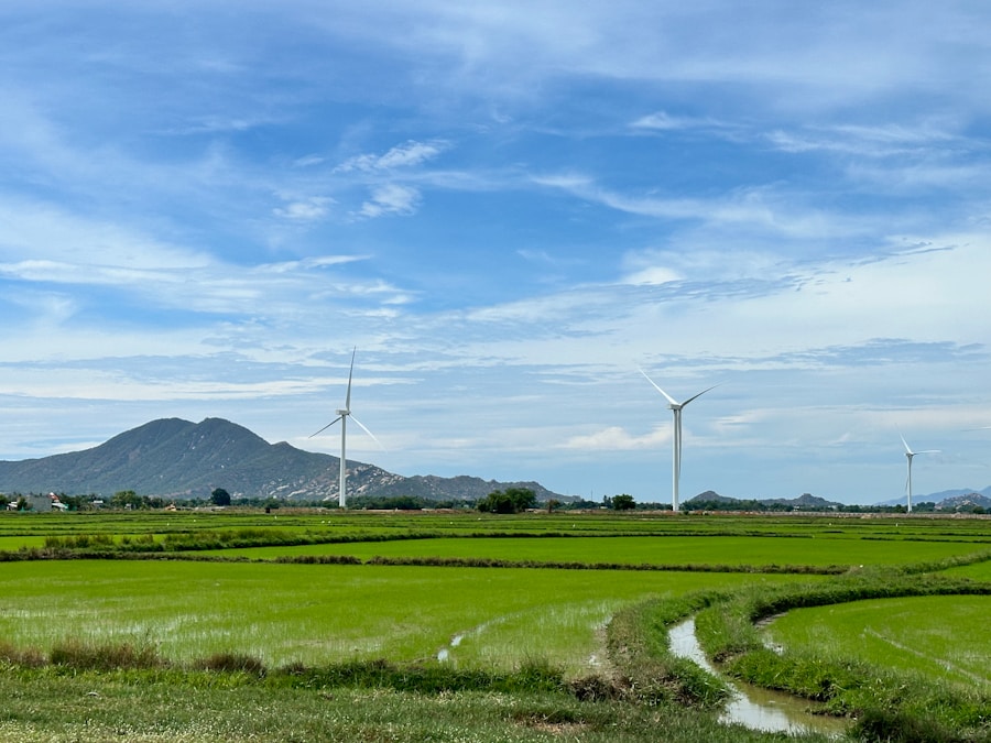 Cómo implementar ISO y ESG en tu empresa para generar un impacto positivo