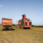 Construyendo un futuro sostenible: Estrategias ESG para empresas exportadoras latinoamericanas