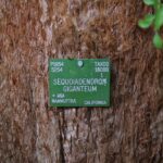 El poder de la sostenibilidad: Cómo los sellos ecológicos pueden impulsar tu éxito en licitaciones